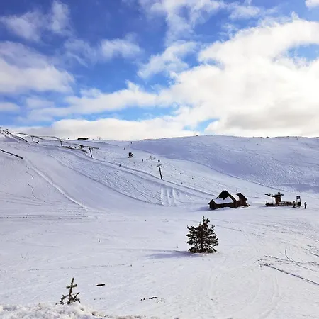 Aatu Ski-in Ski-out Villa Levi