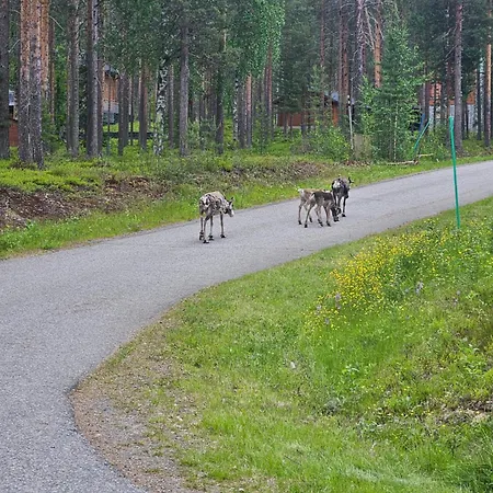 Aatu Ski-in Ski-out *