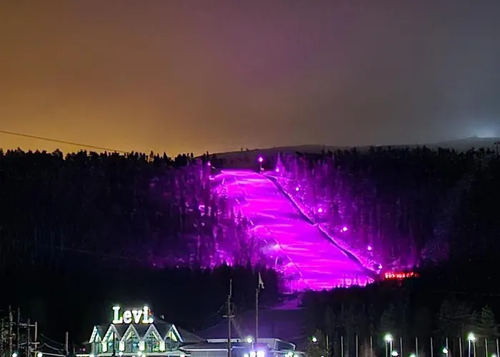 Villa Aatu Ski-in Ski-out