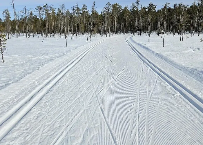 Aatu Ski-in Ski-out Villa