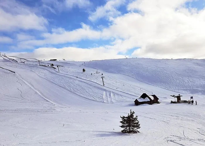 Aatu Ski-in Ski-out Villa Levi