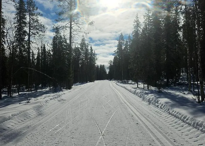 Aatu Ski-in Ski-out Levi