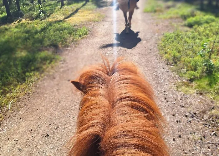 Villa Aatu Ski-in Ski-out *