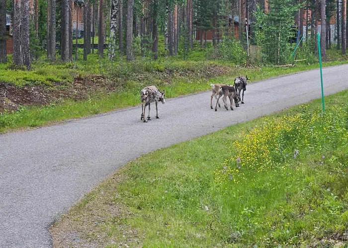 Aatu Ski-in Ski-out *